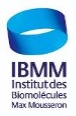 logo ibmm