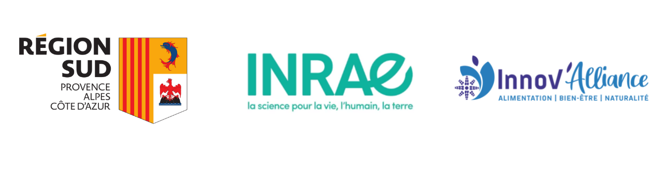 Bandeau actu projet
